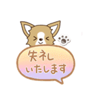 『チワワ 犬スタンプ』吹き出し（個別スタンプ：28）