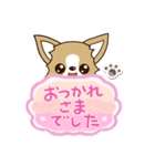『チワワ 犬スタンプ』吹き出し（個別スタンプ：29）