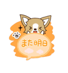 『チワワ 犬スタンプ』吹き出し（個別スタンプ：30）