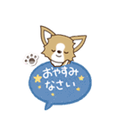 『チワワ 犬スタンプ』吹き出し（個別スタンプ：31）