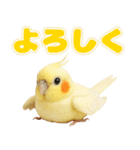 オカメインコの日常。（個別スタンプ：4）