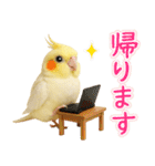 オカメインコの日常。（個別スタンプ：13）