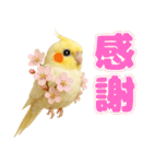 オカメインコの日常。（個別スタンプ：15）