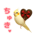 オカメインコの日常。（個別スタンプ：16）
