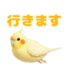 オカメインコの日常。（個別スタンプ：21）