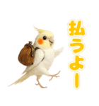 オカメインコの日常。（個別スタンプ：24）