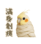 オカメインコの日常。（個別スタンプ：29）