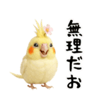 オカメインコの日常。（個別スタンプ：32）