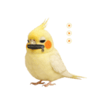 オカメインコの日常。（個別スタンプ：33）