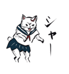 志保ちゃん1(無理矢理二足歩行猫)再販（個別スタンプ：6）
