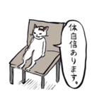 志保ちゃん1(無理矢理二足歩行猫)再販（個別スタンプ：16）