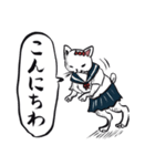 志保ちゃん1(無理矢理二足歩行猫)再販（個別スタンプ：34）