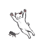 志保ちゃん3(無理矢理二足歩行猫)再販（個別スタンプ：4）