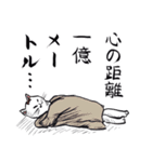 志保ちゃん3(無理矢理二足歩行猫)再販（個別スタンプ：19）