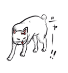 志保ちゃん3(無理矢理二足歩行猫)再販（個別スタンプ：22）