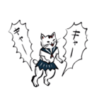 志保ちゃん2(無理矢理二足歩行猫)再販（個別スタンプ：2）