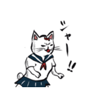 志保ちゃん2(無理矢理二足歩行猫)再販（個別スタンプ：12）
