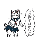 志保ちゃん2(無理矢理二足歩行猫)再販（個別スタンプ：14）
