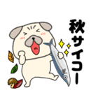 【秋】パグ犬のぱーちゃん88（個別スタンプ：1）