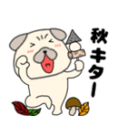 【秋】パグ犬のぱーちゃん88（個別スタンプ：12）