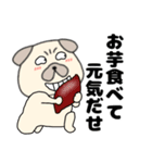 【秋】パグ犬のぱーちゃん88（個別スタンプ：19）