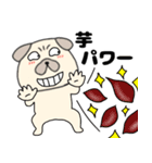 【秋】パグ犬のぱーちゃん88（個別スタンプ：20）