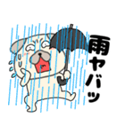 【秋】パグ犬のぱーちゃん88（個別スタンプ：21）
