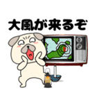 【秋】パグ犬のぱーちゃん88（個別スタンプ：22）