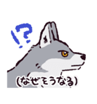 オオカミです.（個別スタンプ：5）