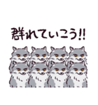 オオカミです.（個別スタンプ：11）