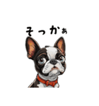 毎日使える大人可愛いボストンテリア（個別スタンプ：2）