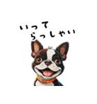 毎日使える大人可愛いボストンテリア（個別スタンプ：4）