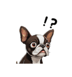 毎日使える大人可愛いボストンテリア（個別スタンプ：6）
