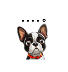 毎日使える大人可愛いボストンテリア（個別スタンプ：7）