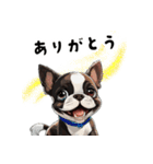 毎日使える大人可愛いボストンテリア（個別スタンプ：8）