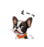 毎日使える大人可愛いボストンテリア（個別スタンプ：11）