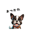毎日使える大人可愛いボストンテリア（個別スタンプ：13）