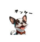 毎日使える大人可愛いボストンテリア（個別スタンプ：14）