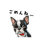 毎日使える大人可愛いボストンテリア（個別スタンプ：17）