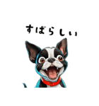 毎日使える大人可愛いボストンテリア（個別スタンプ：18）