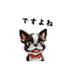 毎日使える大人可愛いボストンテリア（個別スタンプ：22）