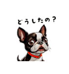 毎日使える大人可愛いボストンテリア（個別スタンプ：23）