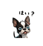 毎日使える大人可愛いボストンテリア（個別スタンプ：26）