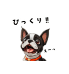 毎日使える大人可愛いボストンテリア（個別スタンプ：28）