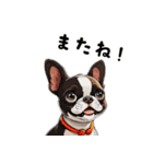 毎日使える大人可愛いボストンテリア（個別スタンプ：29）