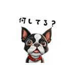 毎日使える大人可愛いボストンテリア（個別スタンプ：35）