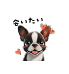 毎日使える大人可愛いボストンテリア（個別スタンプ：36）