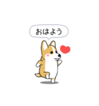激しく尻尾をふるコーギー（個別スタンプ：1）