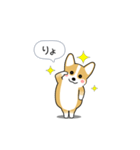 激しく尻尾をふるコーギー（個別スタンプ：2）