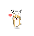 激しく尻尾をふるコーギー（個別スタンプ：6）